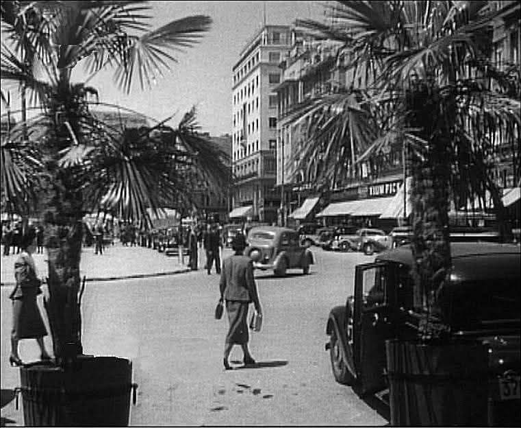 Trg bana Jelačića 1943. godine, pogled kroz palme iz Gradske kavane (izvor Hrvatski filmski savez)